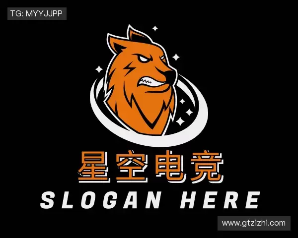 关于星空电竞